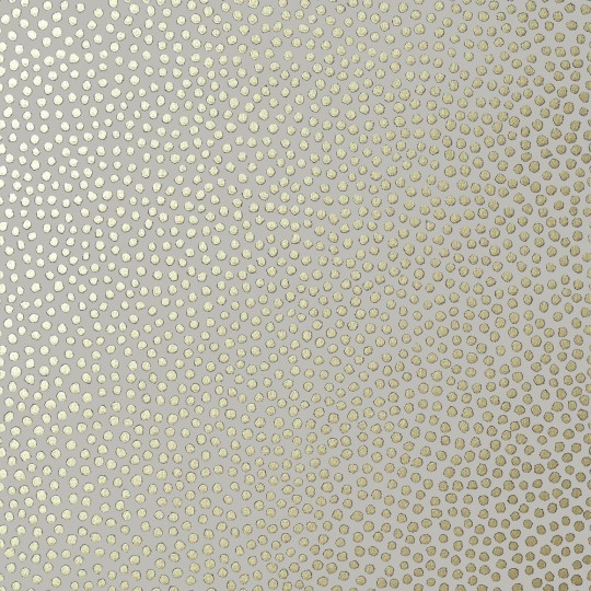Anna French AT79164 Small Scale Davis Dot Metallic Gold on Pewter - tapeta w kropki
