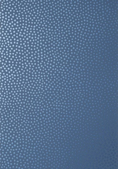 Anna French AT79167 Small Scale Davis Dot Navy - tapeta w kropki