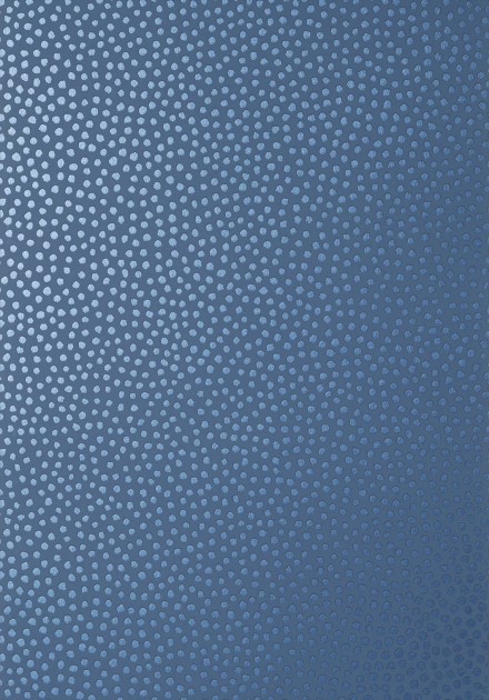 Anna French AT79167 Small Scale Davis Dot Navy - tapeta w kropki