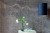 04936fcc7d60d47c3a221633292b3bfa
