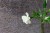 a6db6f637dbc97a5170969d4369175fb