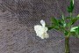 a6db6f637dbc97a5170969d4369175fb