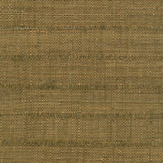 Elitis RM 901 91 Robinson – tapeta z rafii