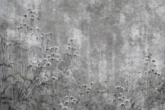 Lorenso TPA 0525 0159 01 Grivelle - mural w polne rośliny na surowym tle