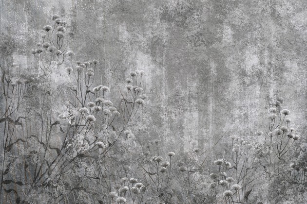 Lorenso TPA 0525 0159 01 Grivelle - mural w polne rośliny na surowym tle