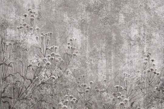 Lorenso TPA 0525 0159 02 Grivelle - mural w polne rośliny na surowym tle