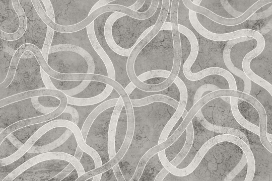 Lorenso TPA 0525 0161 03 Zing - mural w organiczne linie