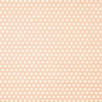 60019d0d3de921667a5dee7e9ea61b98