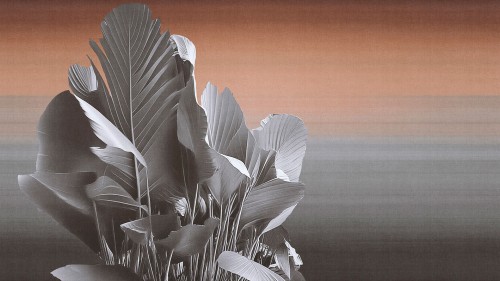 1a204f77a86ce1155db2075fd6faf03f