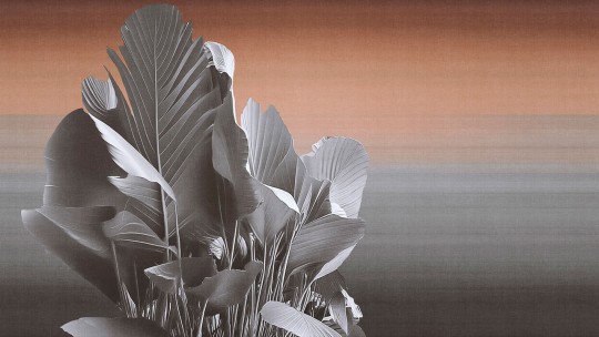 London Art 25001 1 Exclusive Wallpaper 25 Etherea - mural w duże liście