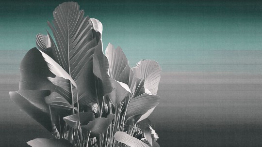 London Art 25001 2 Exclusive Wallpaper 25 Etherea - mural w duże liście