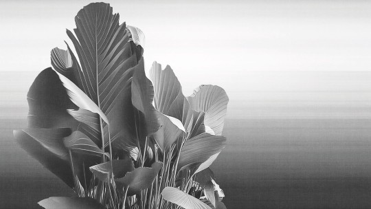 London Art 25001 3 Exclusive Wallpaper 25 Etherea - mural w duże liście