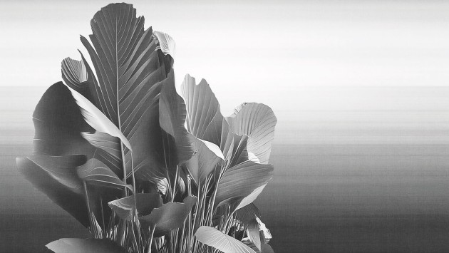 London Art 25001 3 Exclusive Wallpaper 25 Etherea - mural w duże liście