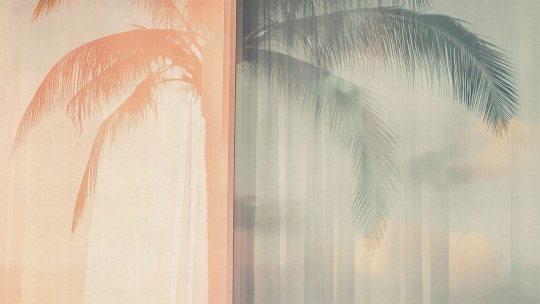 London Art 25002 1 Exclusive Wallpaper 25 Soft Meridian - mural w palmę