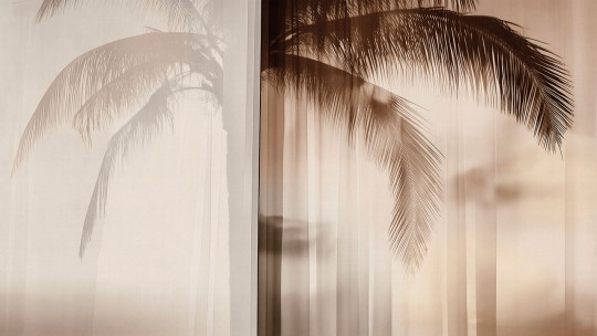 London Art 25002 2 Exclusive Wallpaper 25 Soft Meridian - mural w palmę