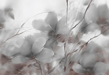 4a2432d5a963327d806878c04cf3ac44