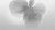 fafb7b9409108d4319171e0d08220215