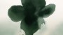 74be1702341cc57f759facf735929cad
