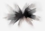 a97cc3ad7f5189e60e848b7b1fe286c4