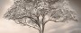 fe582725ff274a7f8d98dfa94d1e53b9