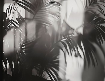e8000803ca29f7e95935527d9b5b359a
