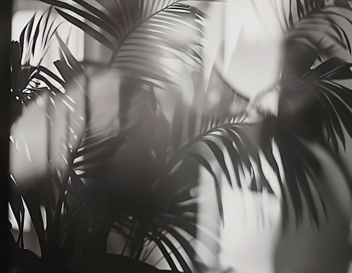 e8000803ca29f7e95935527d9b5b359a