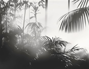 d977b2c5e05c8009dfeadd2dc5d3484f
