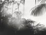 d977b2c5e05c8009dfeadd2dc5d3484f