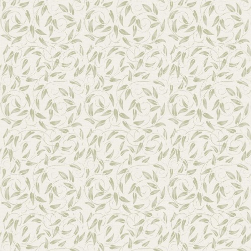 LB25159-800x800.jpg