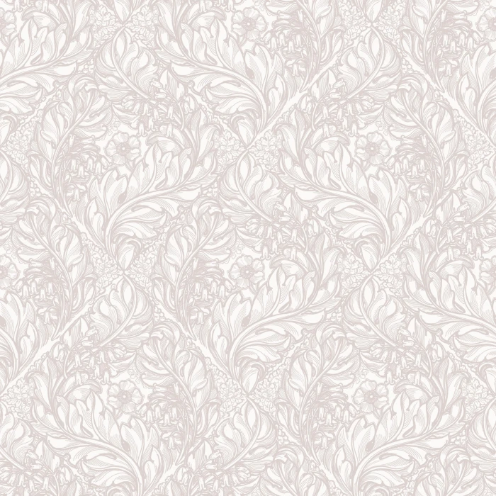LB25107-scaled.jpg