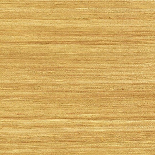 Elitis RM 870 21 Kali Goa – tapeta z jedwabiu