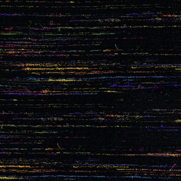 f5499ac16db3e9bb80b1602a70d2d0ad