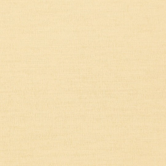 Thibaut T14107 Texture Resource 4 Coastal Sisal Cream - tapeta imitująca sizal