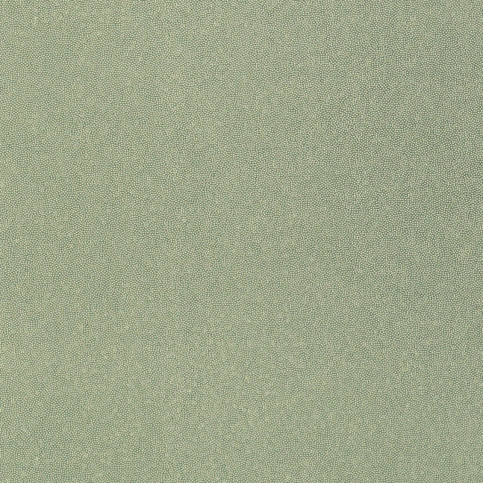 16ae9fa172688dbd2b4173465ed9498a