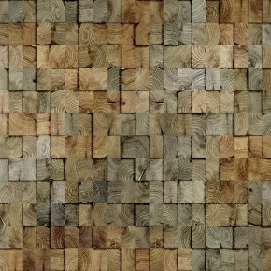 Zambaiti Parati Z57787 Architexture 2 - mural imitujący drewno