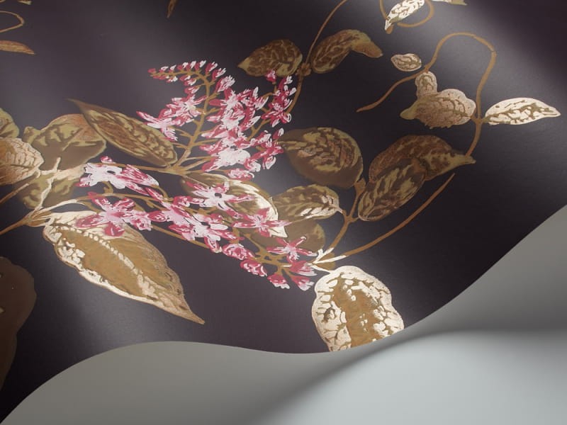 Tapeta Cole & Son - A Collection of Flowers - Madras Violet 81/6024