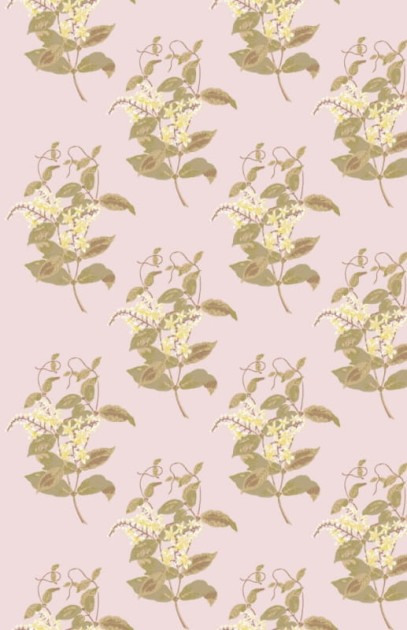 Tapeta Cole & Son - A Collection of Flowers - Madras Violet 81/6025