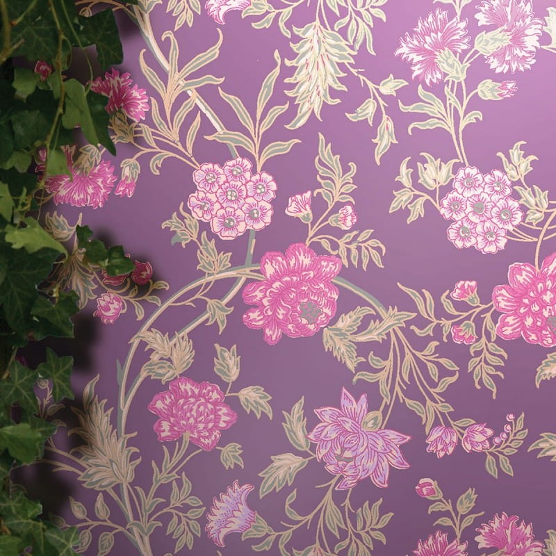 Tapeta Cole & Son - A Collection of Flowers - Myrtle 81/15065