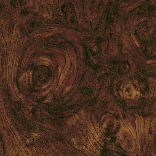 Elitis RM 428 70 Essences de bois Dryades – tapeta jak fornir z drzewa orzechowego