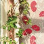 febe391f7d4aec8e599811456e299212