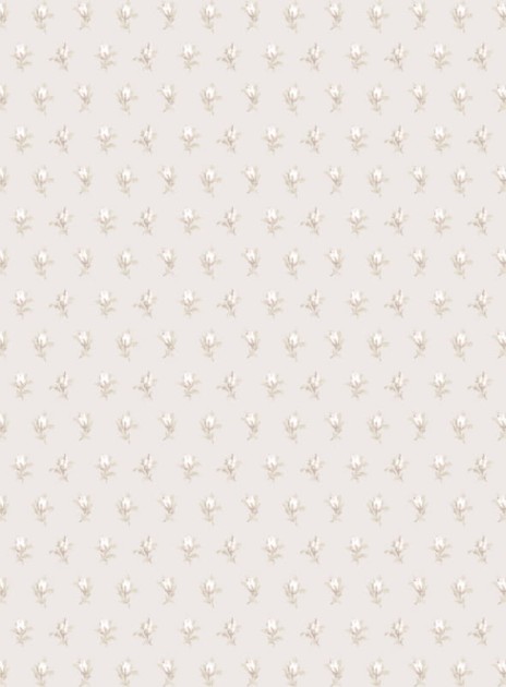 Tapeta Cole & Son - A Collection of Flowers - Rose Buds 81/4015
