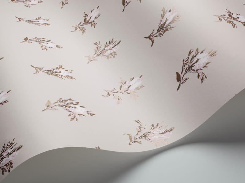Tapeta Cole & Son - A Collection of Flowers - Rose Buds 81/4015