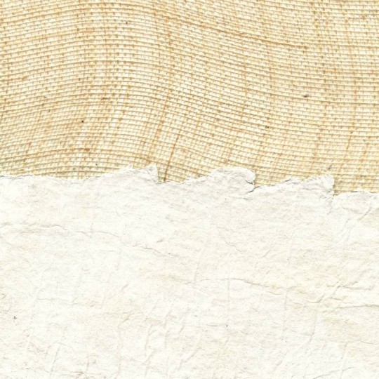 Elitis RM 671 01 Oceania Koubalane – tapeta tkana z papieru i włókien abaki