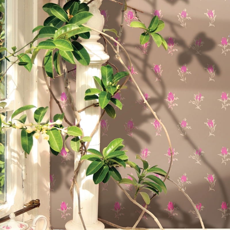 Tapeta Cole & Son - A Collection of Flowers - Rose Buds 81/4016