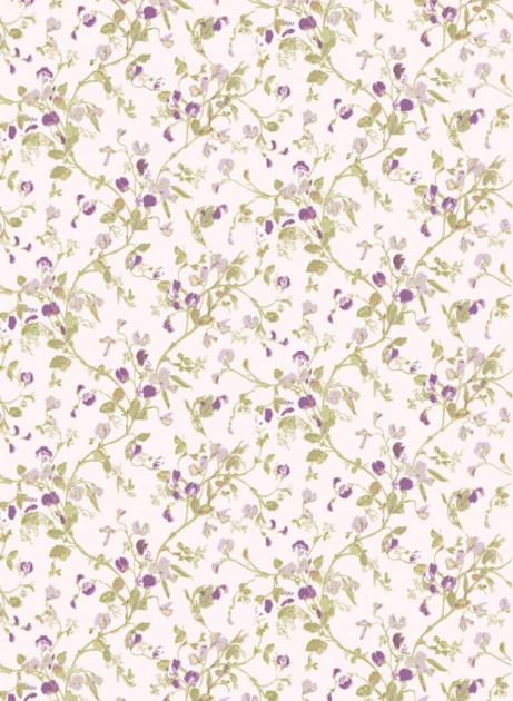 Tapeta Cole & Son - A Collection of Flowers - Sweet Pea 81/11047