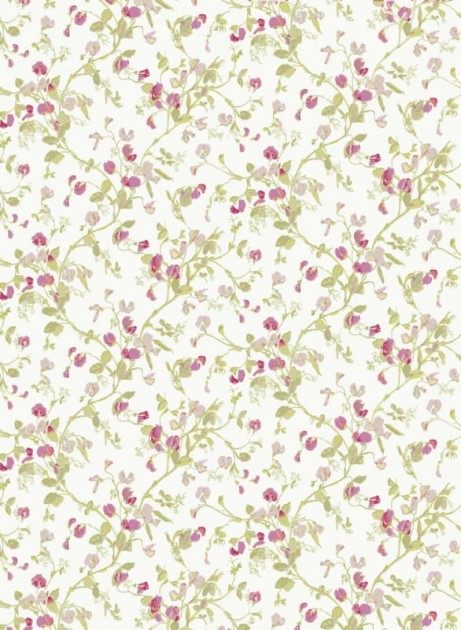 Tapeta Cole & Son - A Collection of Flowers - Sweet Pea 81/11048