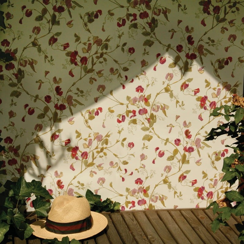 Tapeta Cole & Son - A Collection of Flowers - Sweet Pea 81/11048