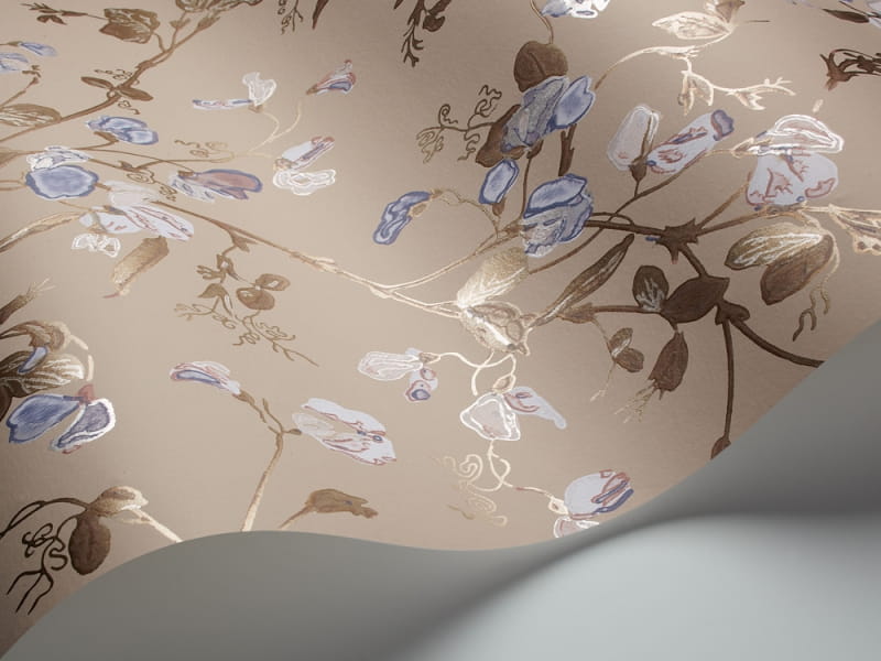 Tapeta Cole & Son - A Collection of Flowers - Sweet Pea 81/11049