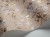 d4445e451bc47d0172c29cdaa912c721