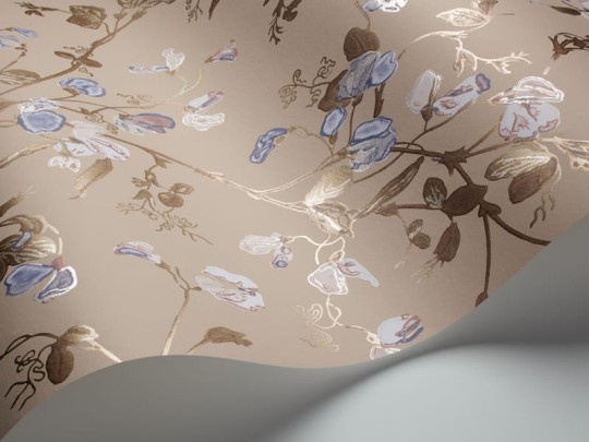 Tapeta Cole & Son - A Collection of Flowers - Sweet Pea 81/11049